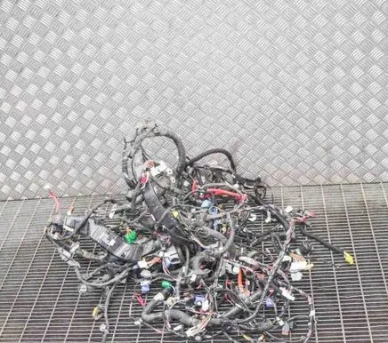 Tesla Model 3 Other wiring loom 106876700F 106796004E