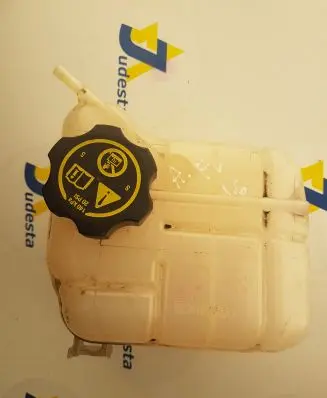 Opel Insignia A Coolant expansion tank/reservoir 22924025