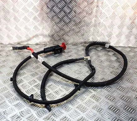 Other wiring loom