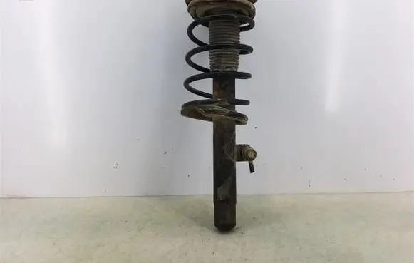 Peugeot 206 Front shock absorber with coil spring