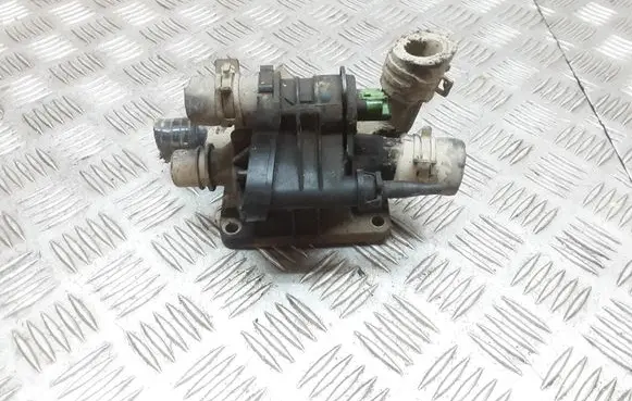 Thermostat/thermostat housing