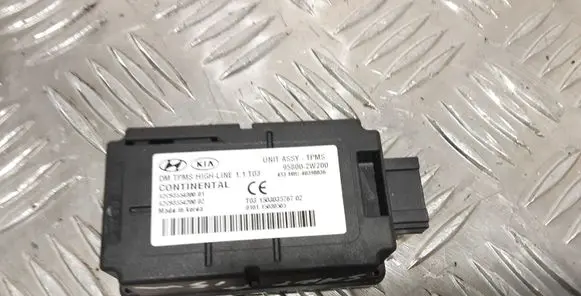 Hyundai Santa Fe Other control units/modules 958002W200