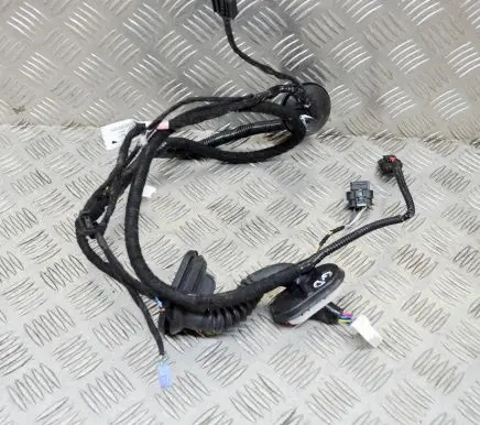 Tesla Model 3 Other wiring loom 306796600A