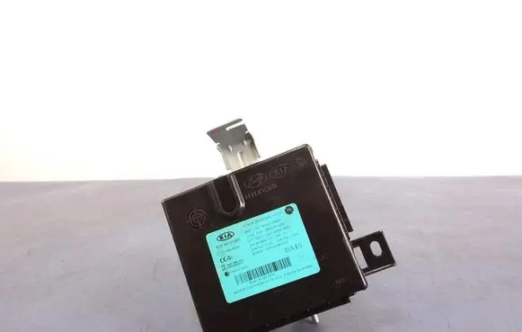 KIA Rio Other control units/modules 954A0-H8450