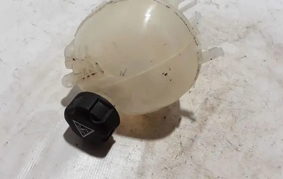 Peugeot 2008 II Coolant expansion tank/reservoir 9824198680