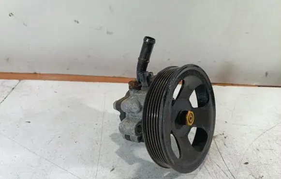 Hyundai Santa Fe Power steering pump