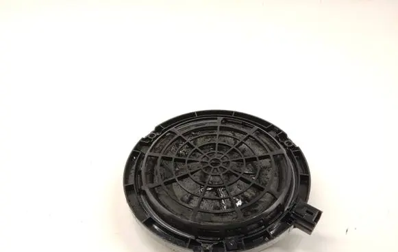 Opel Grandland X Front door speaker 9806071080 434107866341