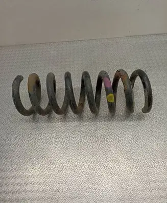 Rear coil spring