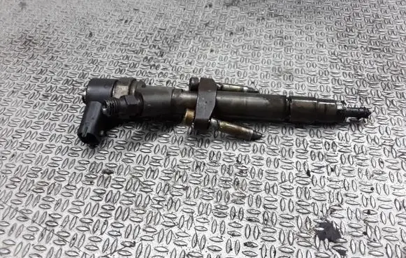 Renault Espace - Grand espace IV Fuel injector 8200084534