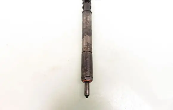 Citroen C3 Fuel injector 9650059780 EJBR01001A