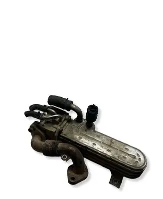 Volkswagen PASSAT B6 EGR valve cooler 038131513AD 3210275 05407