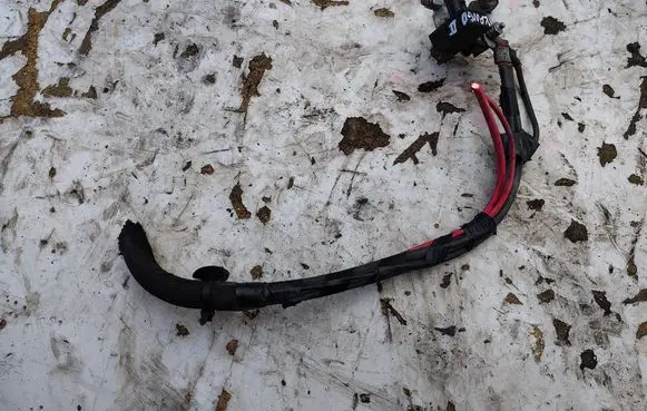 Renault Kangoo II Negative earth cable (battery) 295033401R