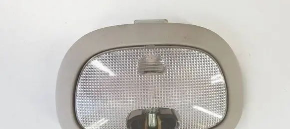 Dodge Durango I Front seat light 