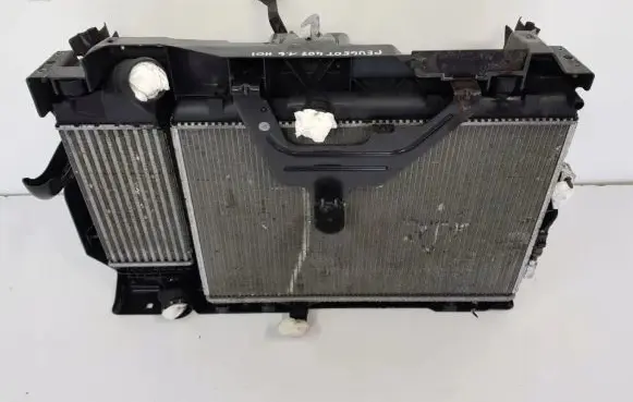 Peugeot 207 Intercooler radiator