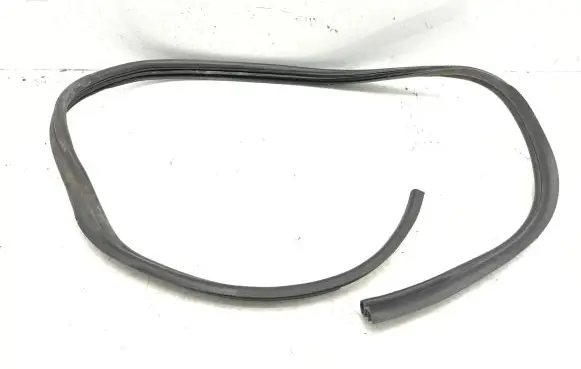 Renault Avantime Front door rubber seal 