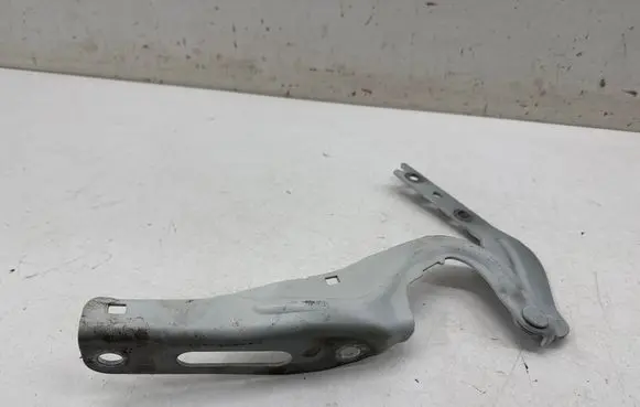 Engine bonnet/hood hinges