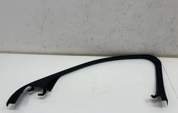 Ford Mustang Mach-E Front door glass trim molding LJ8BR201A18AEW