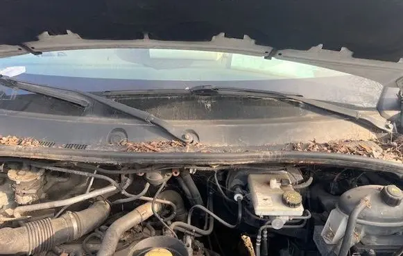 Buick Roadmaster Wiper trim 