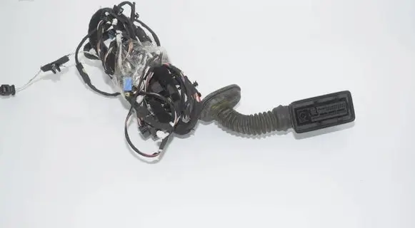BMW 5 G30 G31 G38 Front door wiring loom 5A085D6 61125A085D6