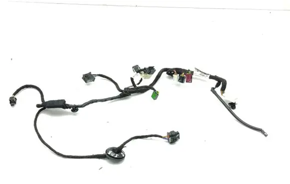 Front door wiring loom