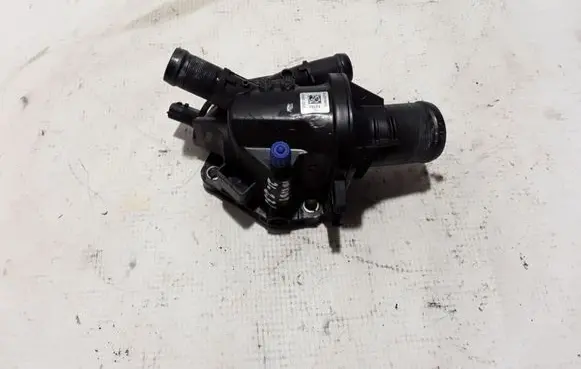 Renault Master III Thermostat 110604371R
