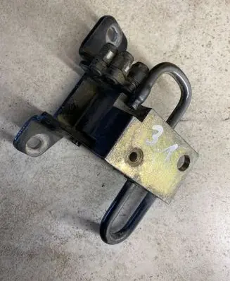 Rear door lower hinge