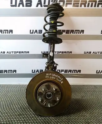 KIA Sportage Front wheel hub spindle knuckle