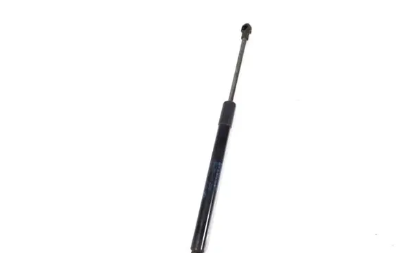 Tailgate strut