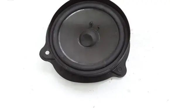 Mercedes-Benz CLS C219 Rear door speaker A2198200502