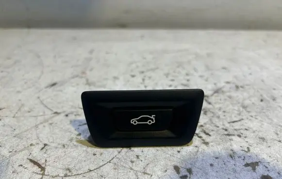 BMW X3 G01 Tailgate/boot open switch button 9275119