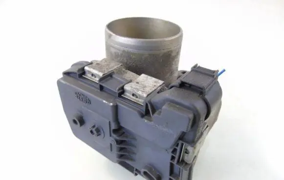 Throttle body valve