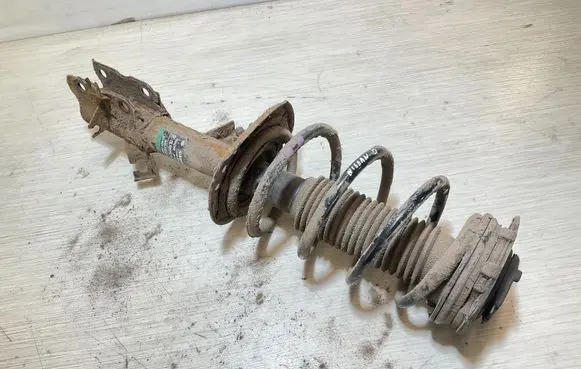 Nissan Qashqai Front shock absorber/damper 824903002933