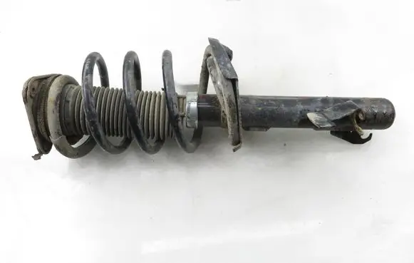 Mazda 5 Front shock absorber with coil spring DSB187G