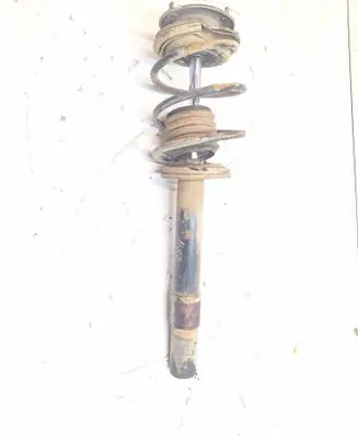 Front shock absorber with coil spring