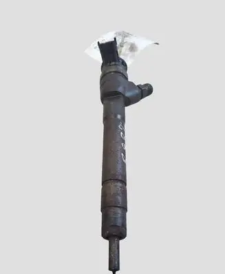 Renault Trafic III (X82) Fuel injector H8201055367 0445110414