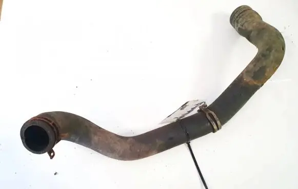 Ford Focus Engine coolant pipe/hose