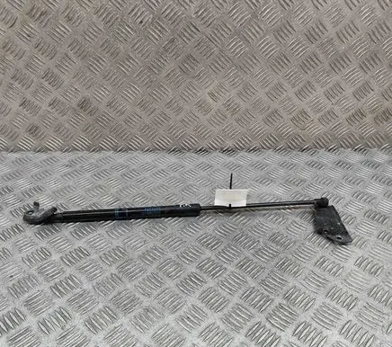 Front bonnet/hood damper/strut