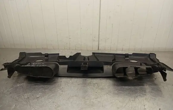 Mercedes-Benz E C207 W207 Radiator trim A2075000155 BBP169201