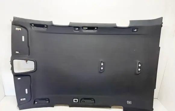 Audi Q7 4M Headlining 