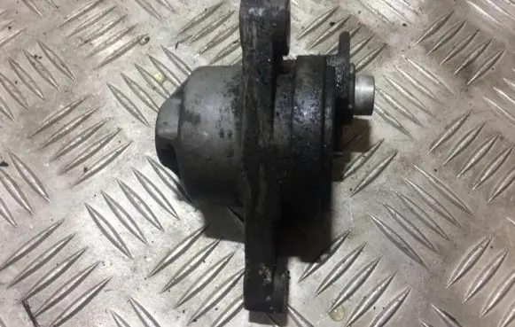 Chevrolet Epica Generator/alternator belt tensioner