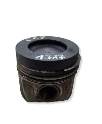 Skoda Octavia Mk2 (1Z) Piston CAY