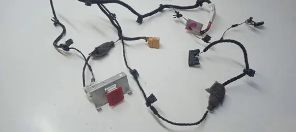 Bentley Continental Front door wiring loom 3W0971160F