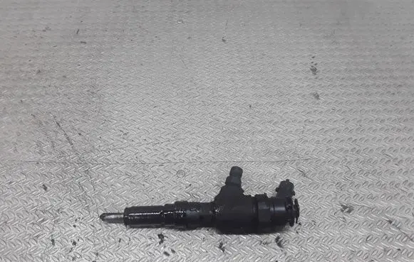 Peugeot 206 Fuel injector 9641496180