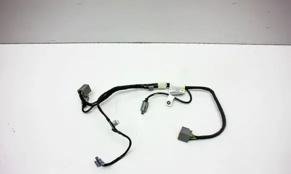 Other wiring loom