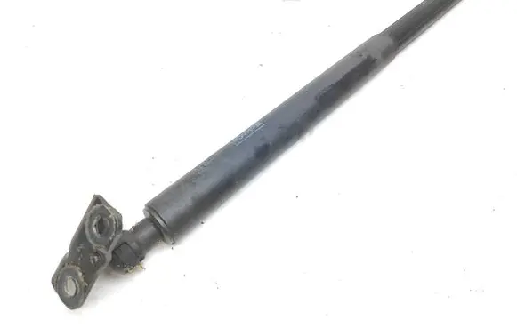 Ford Edge II Tailgate/trunk strut/damper FT4BR402A74AB 748806S990N