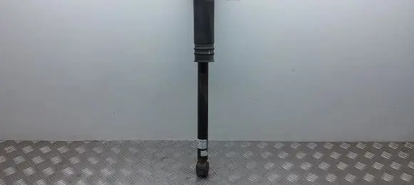 Rear shock absorber/damper