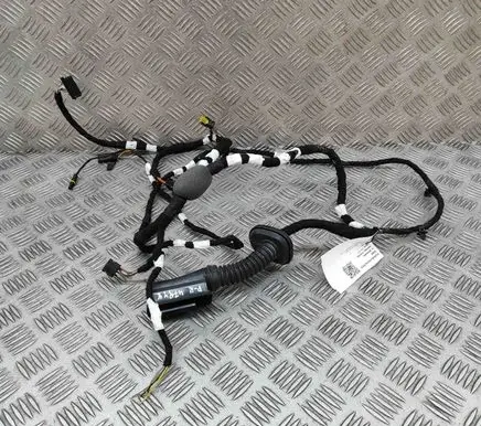 Front door wiring loom