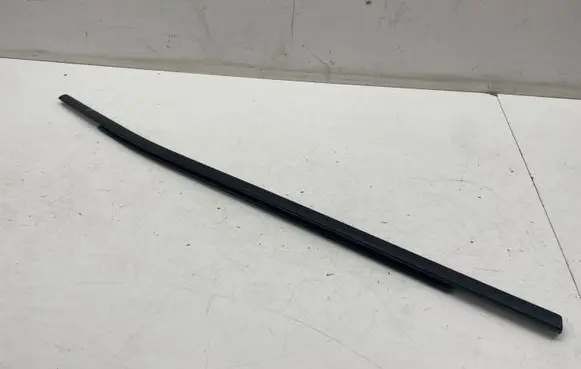 Jeep Compass Rear door glass trim molding
