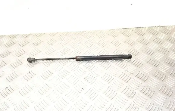 Tailgate/trunk strut/damper
