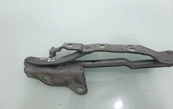 Tailgate/trunk/boot hinge